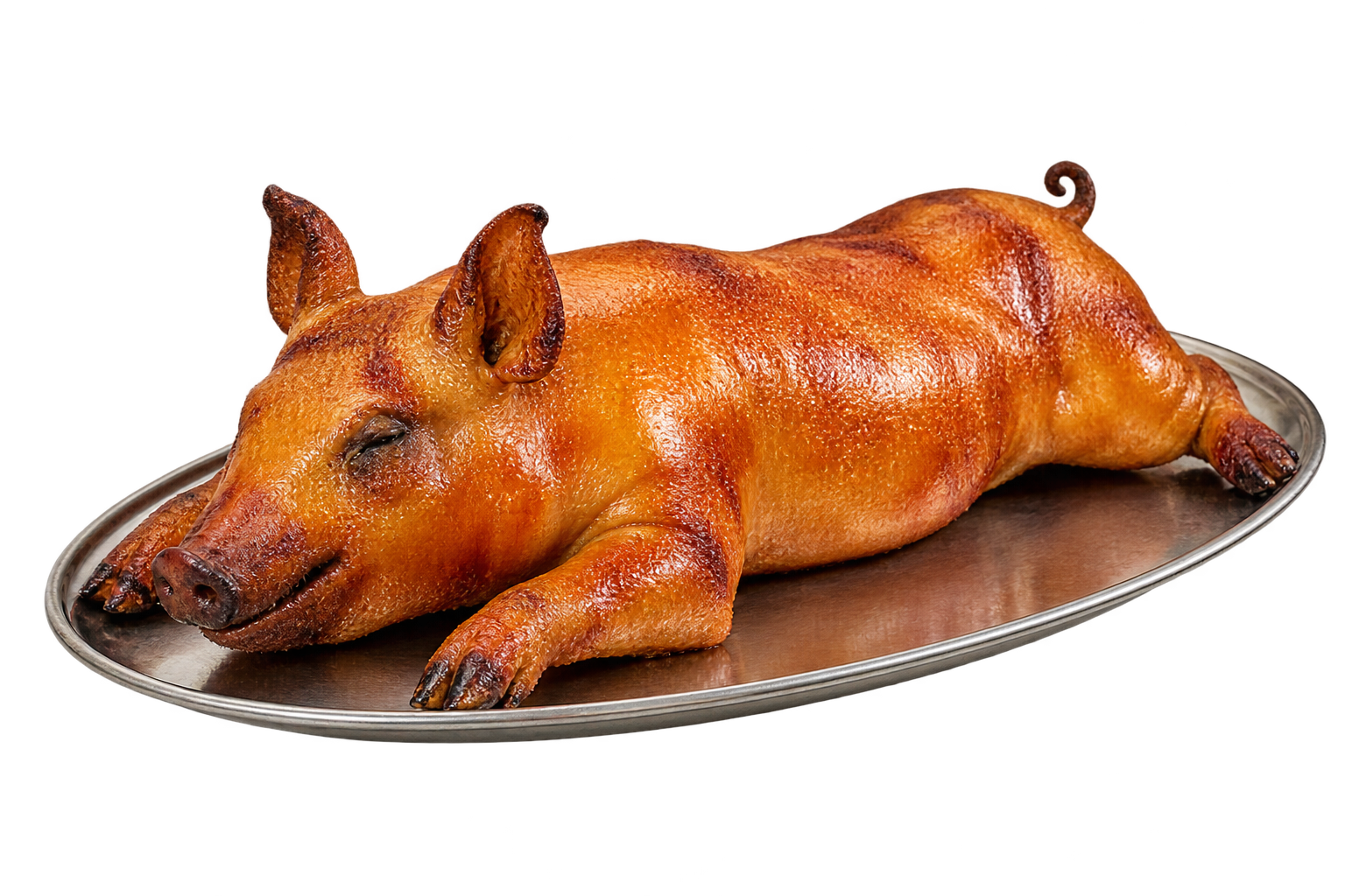 Illustration of Roasted Leitão · 30 lb